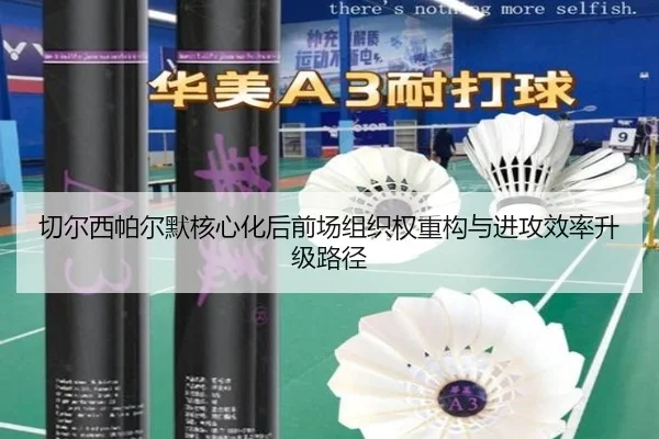 qie-er-xi-pa-er-mo-he-xin-hua-hou-qian-chang-zu-zhi-quan-zhong-gou-yu-jin-gong-xiao-lv-sheng-ji-lu-jing-2-660.jpg